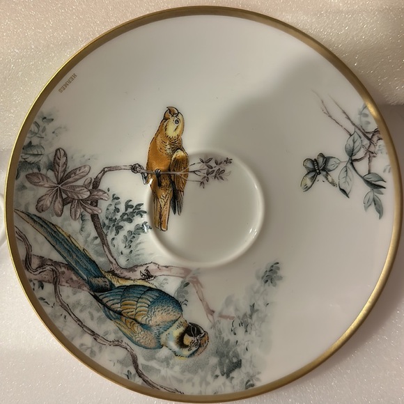 BNWT Hermes Porcelain Tea Cup and Saucer Set - Floral Design - Picture 4 of 14